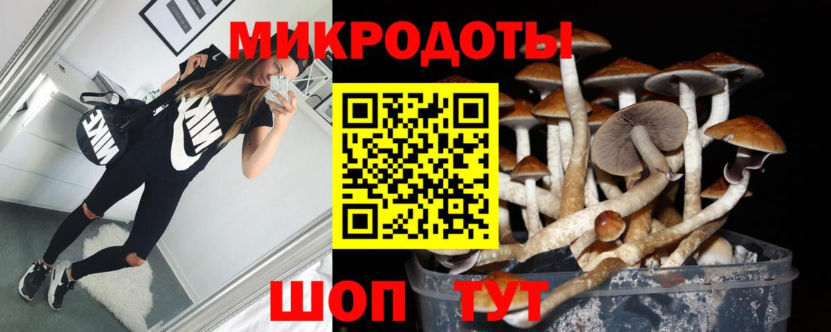 Галлюциногенные грибы прущие грибы  Псилоцибиновые грибы MAGIC MUSHROOMS  Вход с VPN  Азнакаево 